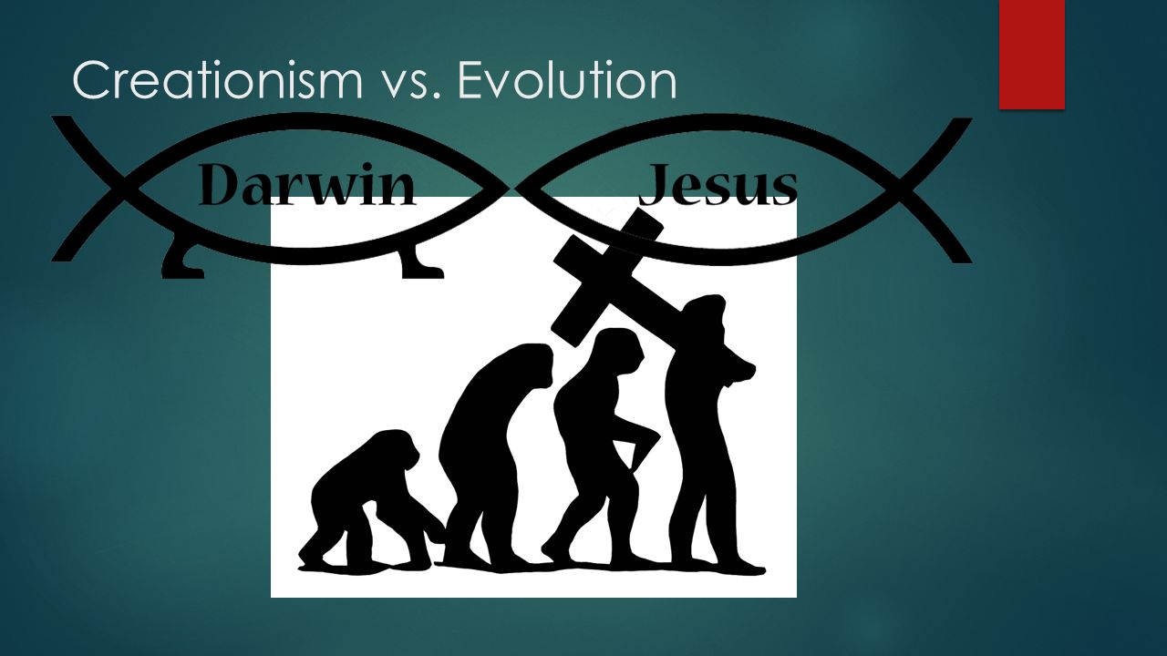 creation vs. evolution in schools essay Creation vs evolution is not a battle of science vs the bible or science vs faith it’s a battle between two starting points god’s word and man’s word. creation vs. evolution in schools essay Creation vs evolution is not a battle of science vs the bible or science vs faith it’s a battle between two starting points god’s word and man’s word.