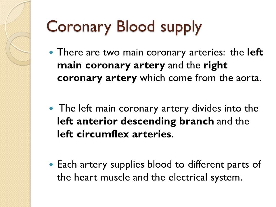 Coronary Blood supply There are two main coronary arteries: the left main coronary artery and the right coronary artery which come from the aorta.