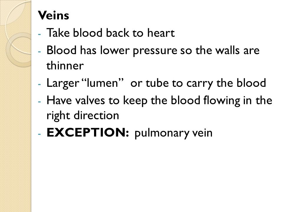Veins - Take blood back to heart - Blood has lower pressure so the walls are thinner - Larger lumen or tube to carry the blood - Have valves to keep the blood flowing in the right direction - EXCEPTION: pulmonary vein