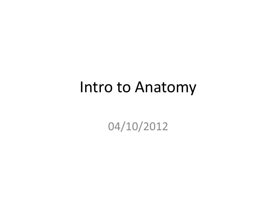 Intro to Anatomy 04/10/2012
