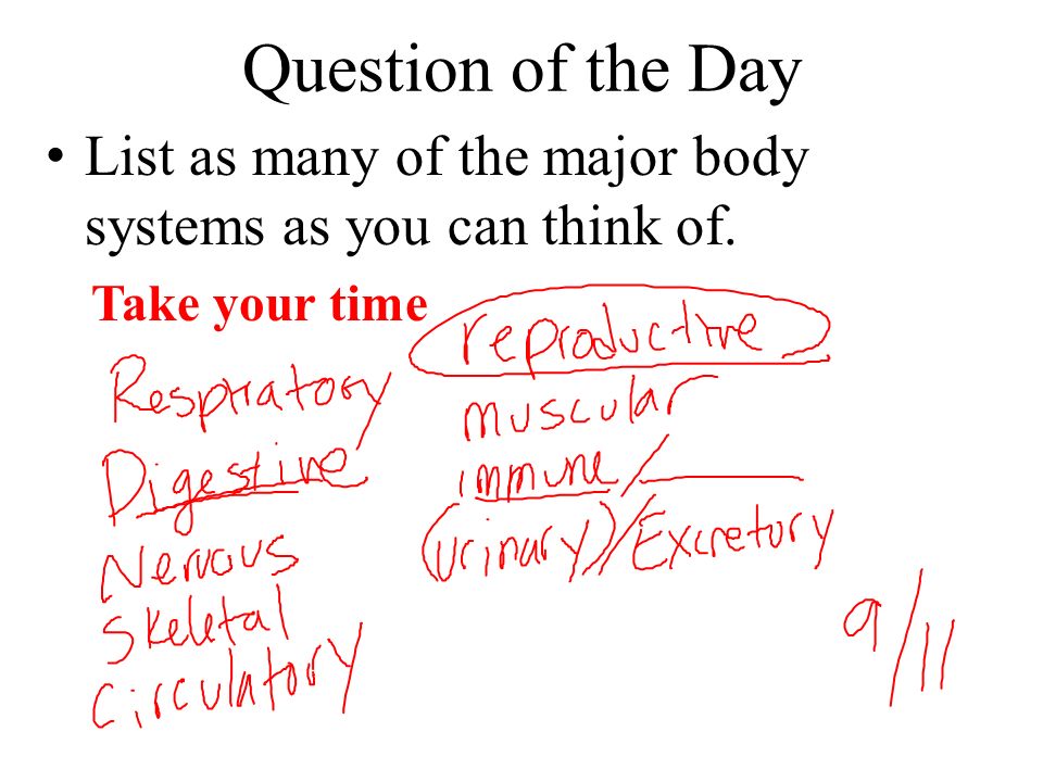 Question of the Day List as many of the major body systems as you can think of. Take your time