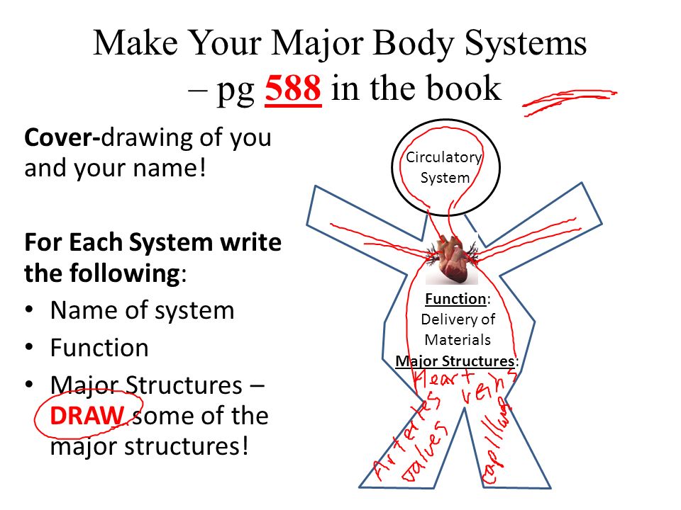 Make Your Major Body Systems – pg 588 in the book Cover-drawing of you and your name.