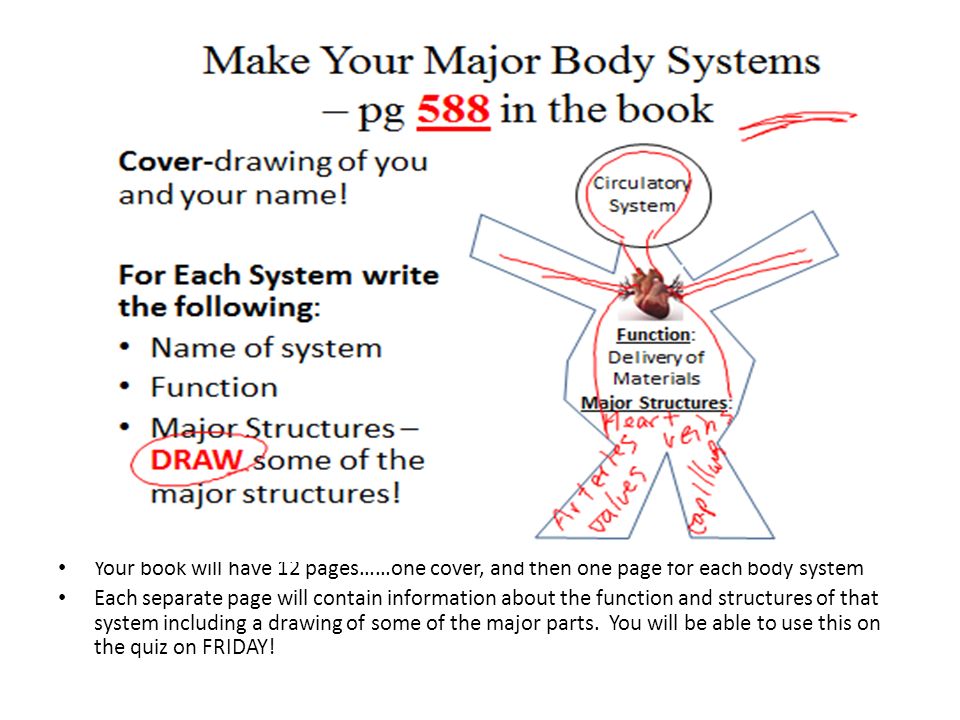 Your book will have 12 pages……one cover, and then one page for each body system Each separate page will contain information about the function and structures of that system including a drawing of some of the major parts.