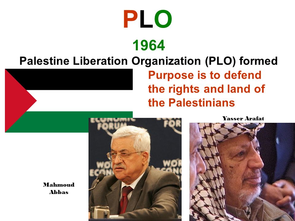 an overview of the palestine liberation organization an overview of the palestine liberation organization