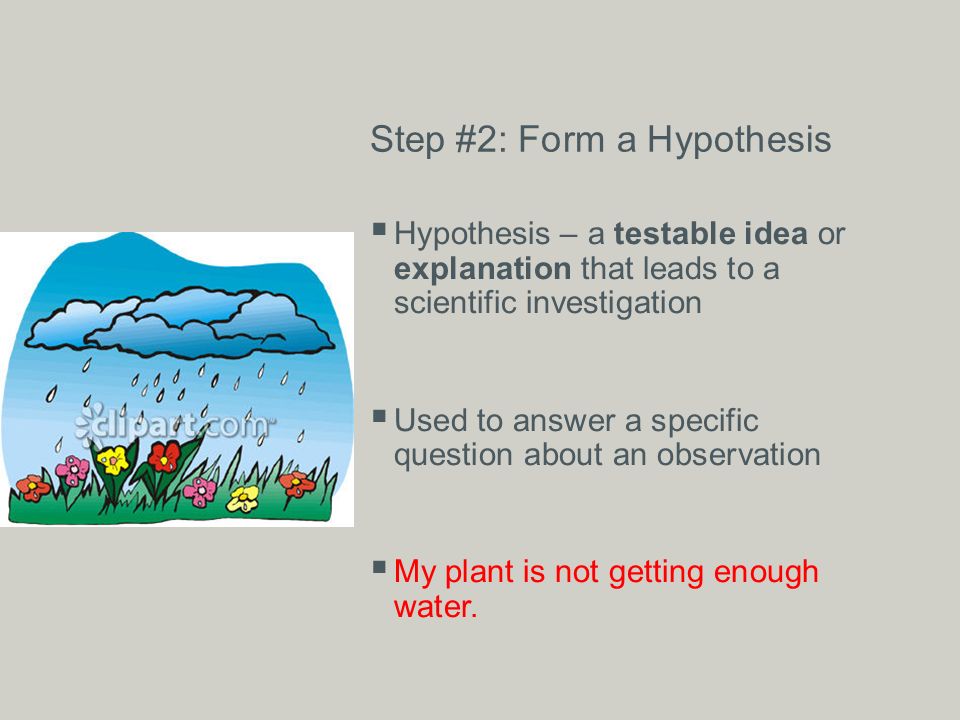 Step #2: Form a Hypothesis  Hypothesis – a testable idea or explanation that leads to a scientific investigation  Used to answer a specific question about an observation  My plant is not getting enough water.