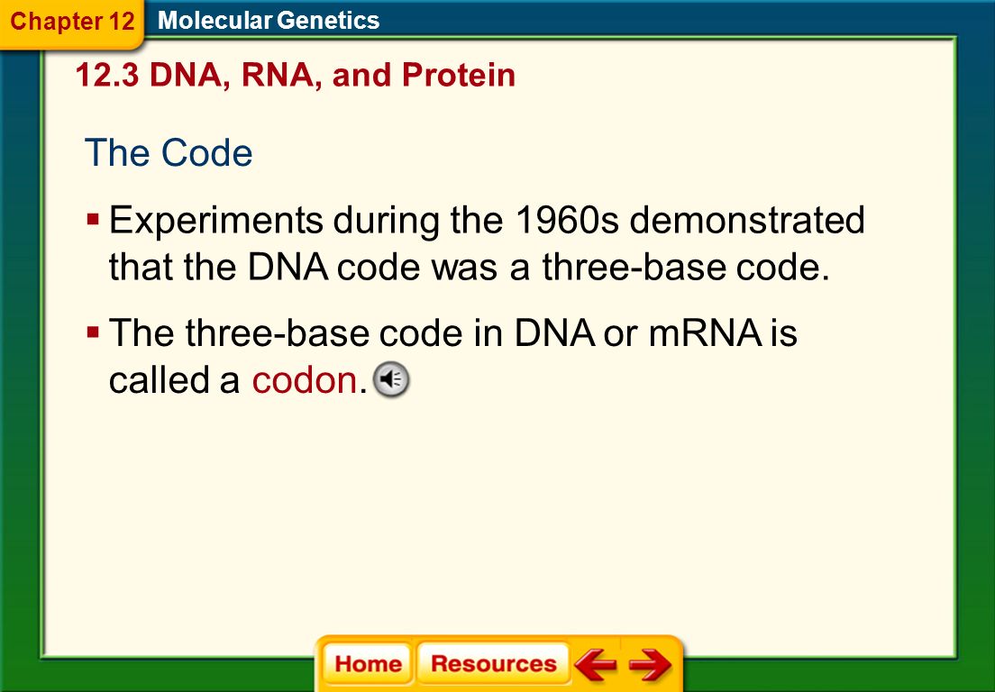 Write an essay below to describe the process by which mrna is formed