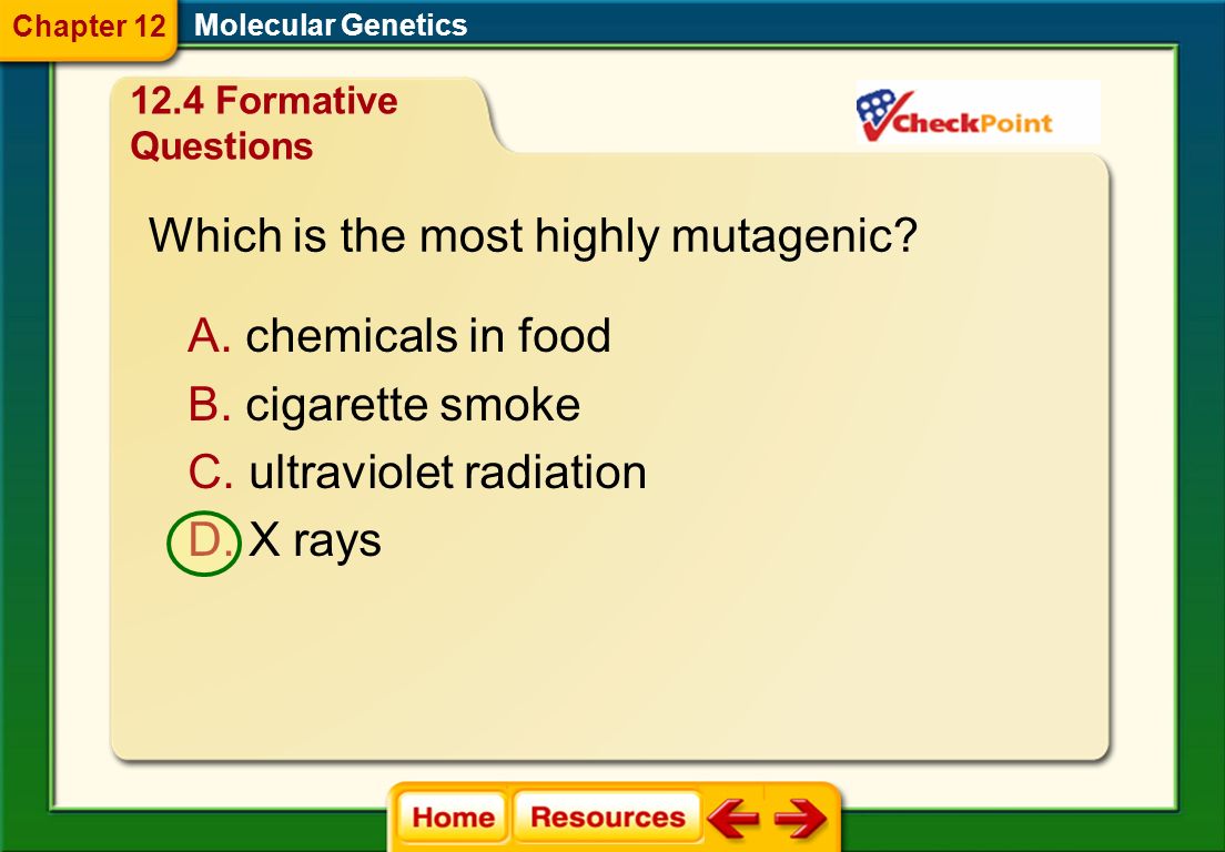 worksheet Genetic Problems Worksheet genetics basic problems worksheet answers templates and worksheets photos pigmu