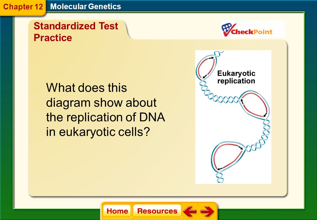 Click On A Lesson Name To Select Chapter 12 Molecular Genetics 97 Molecular Genetics Answer