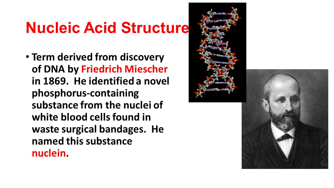 discovery of dna discovery of dna