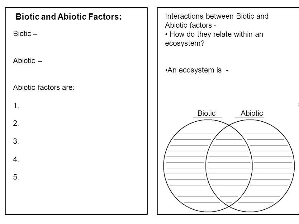 venn diagram of biotic and abiotic factors barca fontanacountryinn com abiotic vs biotic factors venn diagram answers