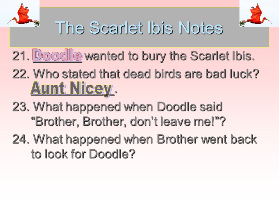 the negative pride of the narrator in scarlet ibis a short story by james hurst The scarlet ibis, by james hurst, was first published in the july 1960 issue of the atlantic monthly magazine the story is also available in elements of literature. the negative pride of the narrator in scarlet ibis a short story by james hurst The scarlet ibis, by james hurst, was first published in the july 1960 issue of the atlantic monthly magazine the story is also available in elements of literature.