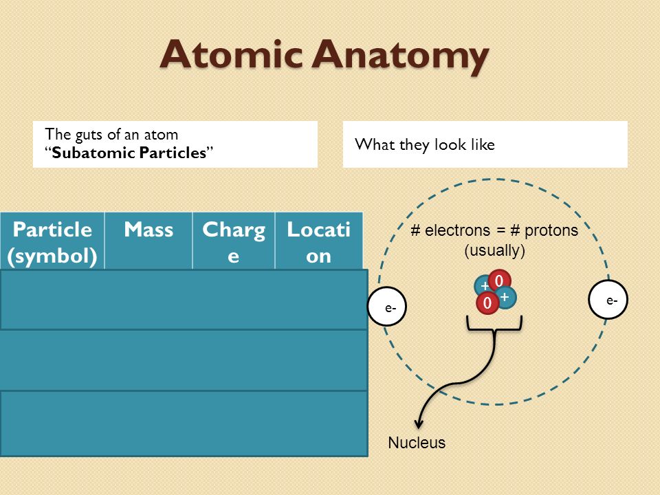 Atomic Anatomy The guts of an atom Subatomic Particles Particle (symbol) MassCharg e Locati on Proton p + 1 amu+nucleus neutron n 0 1 amu0nucleus Electron e amu -Electron shells What they look like Nucleus # electrons = # protons (usually) e-