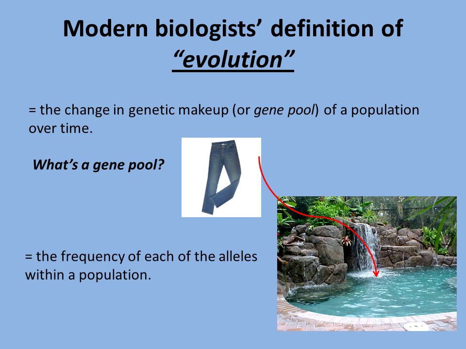 evolution in the definition of genes essay Evolution resources from the national academies and pass more of their genes on to the next generation evolution, and creationism. evolution in the definition of genes essay Evolution resources from the national academies and pass more of their genes on to the next generation evolution, and creationism.