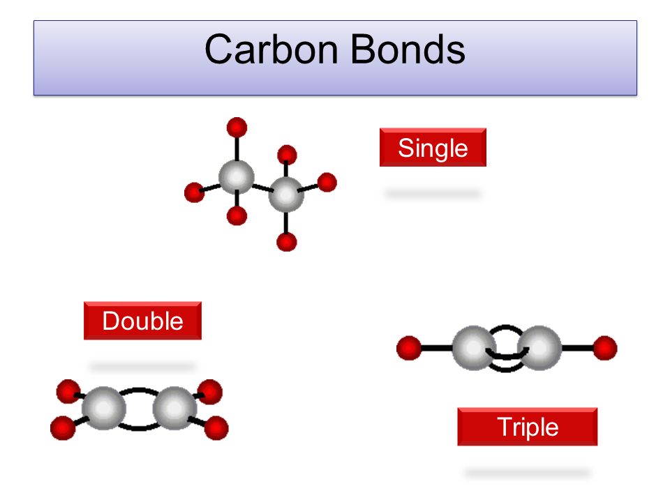 Carbon Bonds Single Triple Double