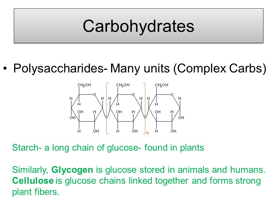 Carbohydrates Polysaccharides- Many units (Complex Carbs) Starch- a long chain of glucose- found in plants Similarly, Glycogen is glucose stored in animals and humans.