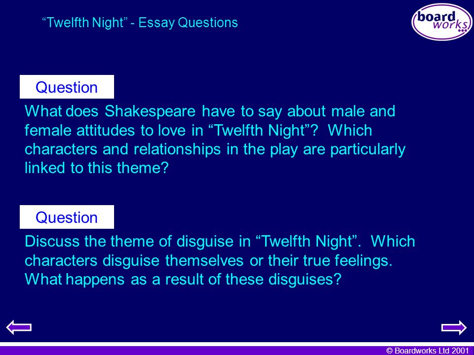 Twelfth night mistaken identity essay