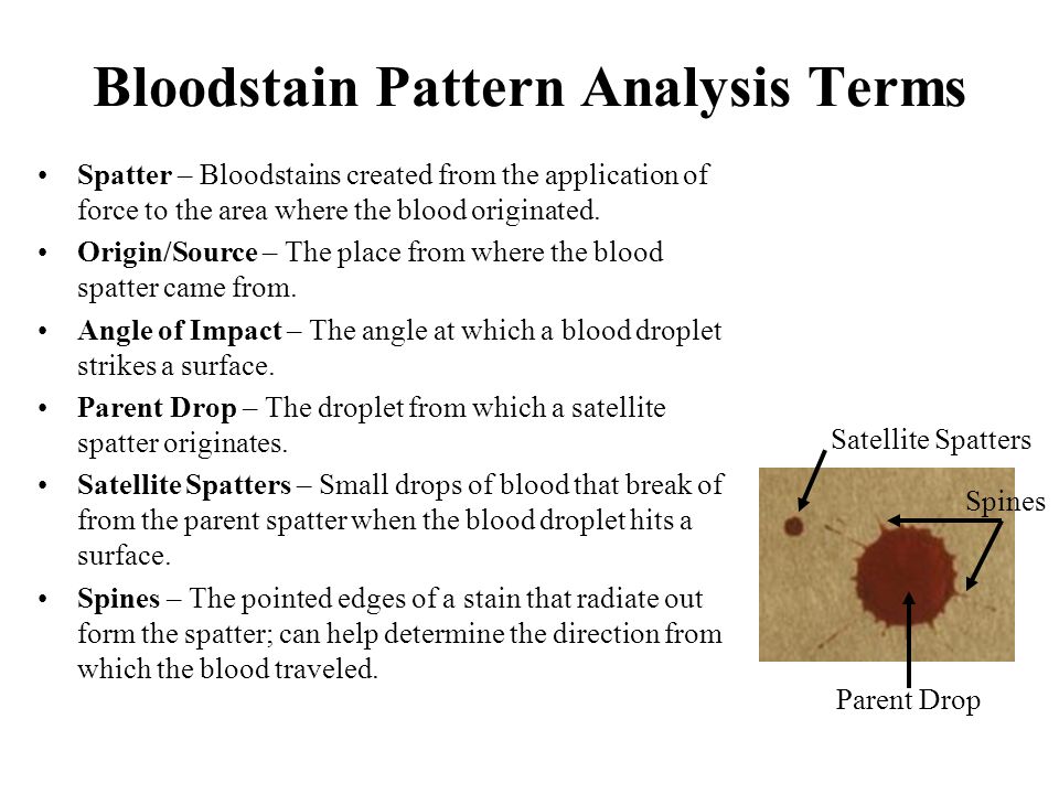 Worksheets Forensic Science Worksheets forensic science worksheets irade co th grade t trimpe ppt bloodstain pattern analysis terms spatter bloodstains created from the
