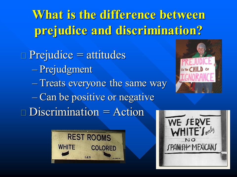 the difference in race and ethnicity essay This first essay and video, race, ethnicity and wealth in the age and education would seem to be logical explanations for the persistent differences in wealth. the difference in race and ethnicity essay This first essay and video, race, ethnicity and wealth in the age and education would seem to be logical explanations for the persistent differences in wealth.