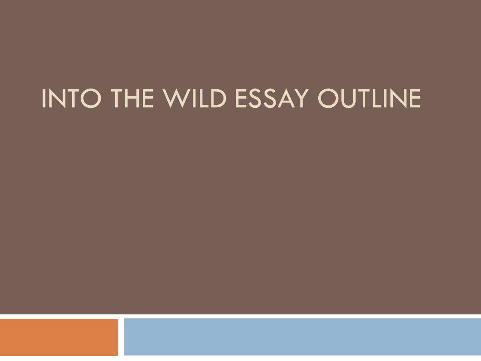 into the wild persuasive essay into the wild persuasive essay