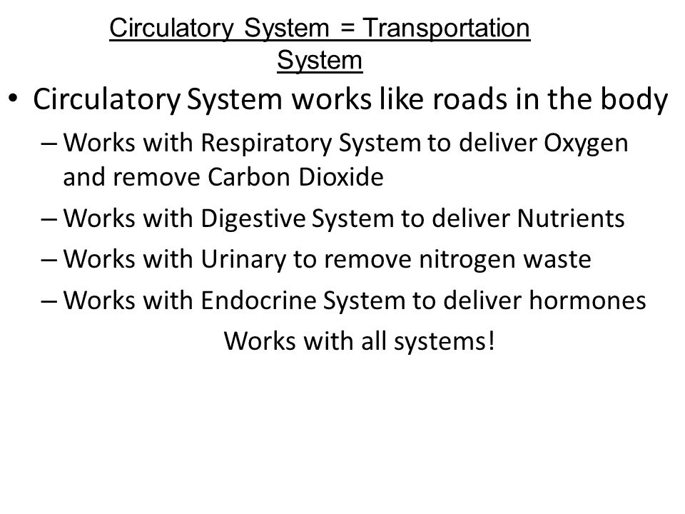 Circulatory System works like roads in the body – Works with Respiratory System to deliver Oxygen and remove Carbon Dioxide – Works with Digestive System to deliver Nutrients – Works with Urinary to remove nitrogen waste – Works with Endocrine System to deliver hormones Works with all systems.