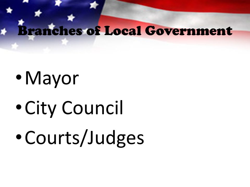 Branches of Local Government Mayor City Council Courts/Judges