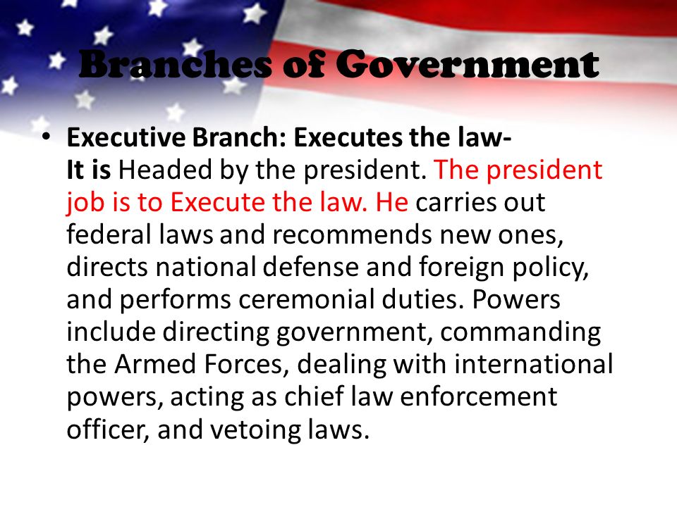Branches of Government Executive Branch: Executes the law- It is Headed by the president.
