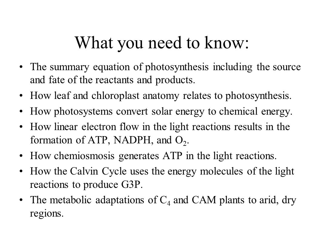 Summary Equations For Cellular Respiration And Photosynthesis Compare The Equations For Cellular Respiration And Photosynthesis