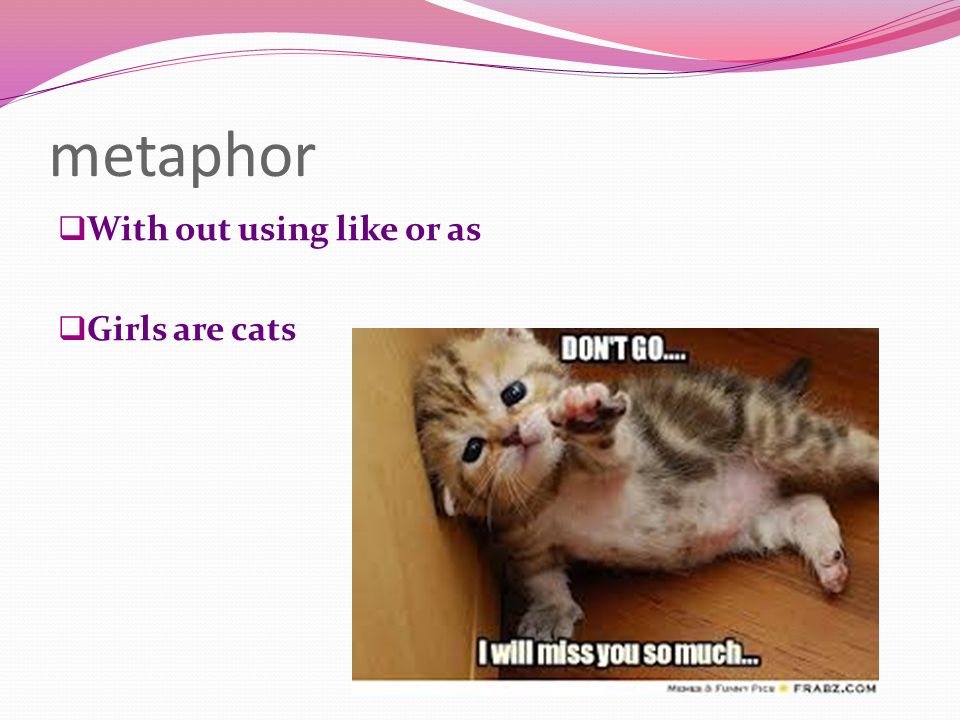 metaphor  With out using like or as  Girls are cats