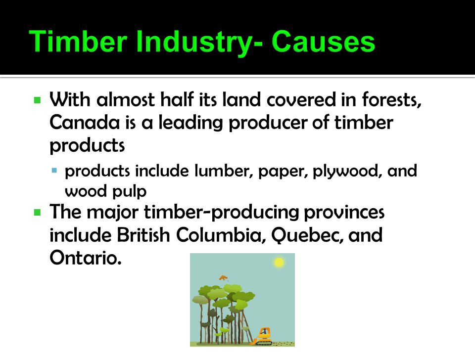  With almost half its land covered in forests, Canada is a leading producer of timber products  products include lumber, paper, plywood, and wood pulp  The major timber-producing provinces include British Columbia, Quebec, and Ontario.
