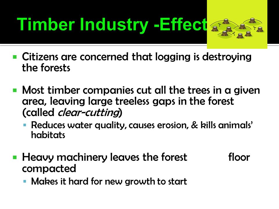  Citizens are concerned that logging is destroying the forests  Most timber companies cut all the trees in a given area, leaving large treeless gaps in the forest (called clear-cutting)  Reduces water quality, causes erosion, & kills animals’ habitats  Heavy machinery leaves the forest floor compacted  Makes it hard for new growth to start