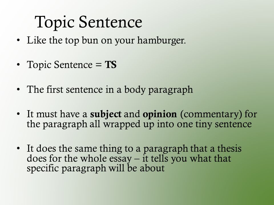 Topic Sentence Like the top bun on your hamburger.