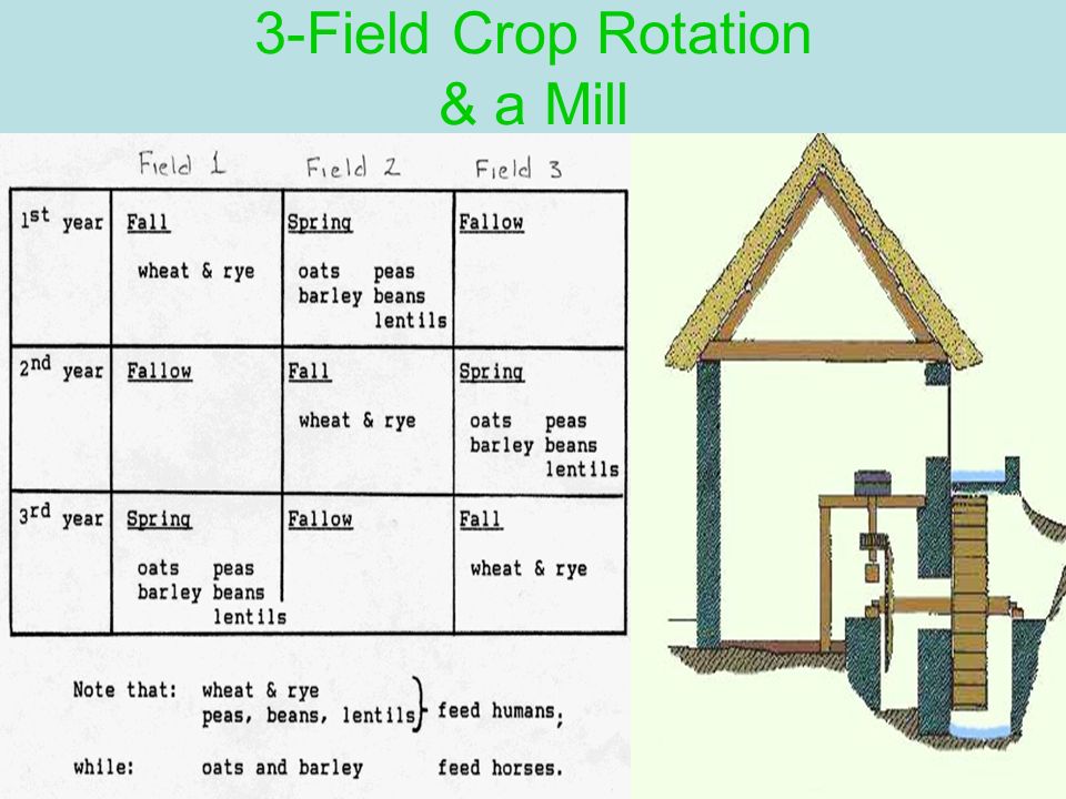 3-Field Crop Rotation & a Mill