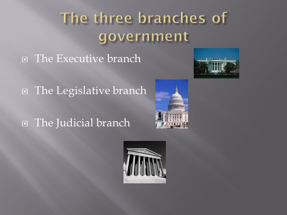  The Executive branch  The Legislative branch  The Judicial branch