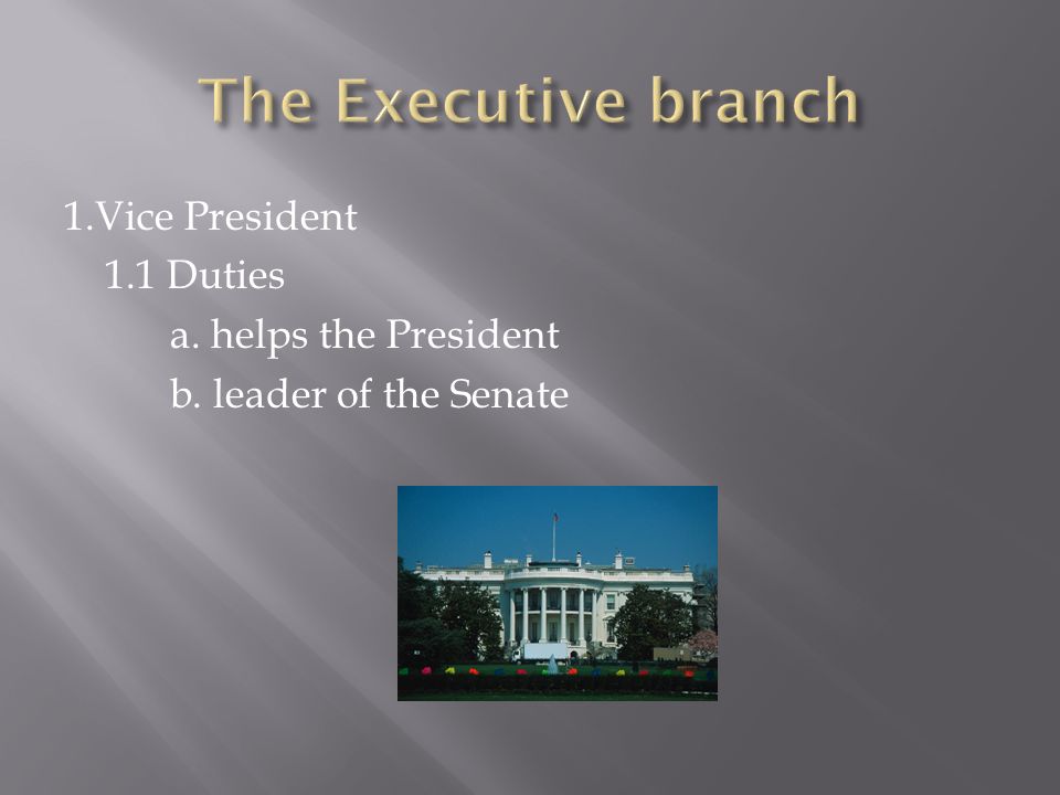 1.Vice President 1.1 Duties a. helps the President b. leader of the Senate