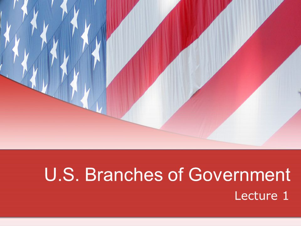 U.S. Branches of Government Lecture 1