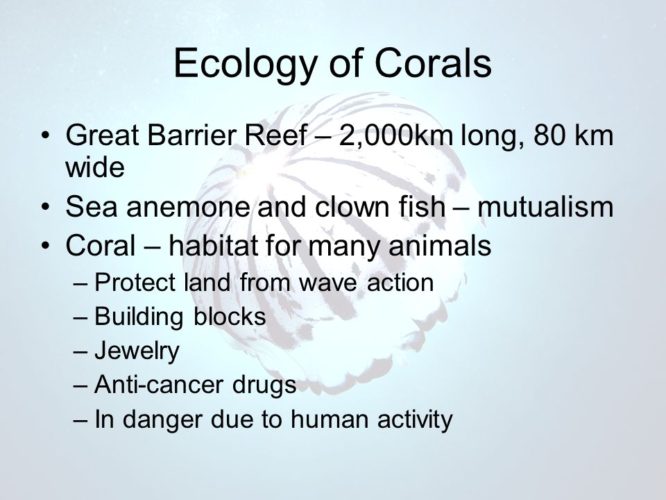 Ecology of Corals Great Barrier Reef – 2,000km long, 80 km wide Sea anemone and clown fish – mutualism Coral – habitat for many animals –Protect land from wave action –Building blocks –Jewelry –Anti-cancer drugs –In danger due to human activity