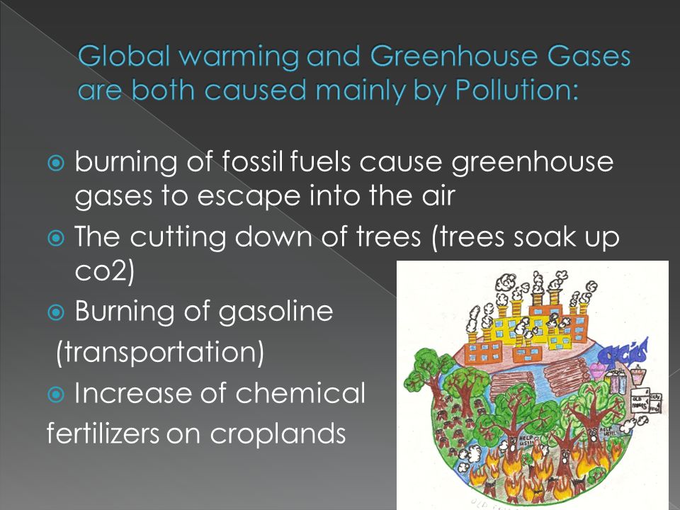  burning of fossil fuels cause greenhouse gases to escape into the air  The cutting down of trees (trees soak up co2)  Burning of gasoline (transportation)  Increase of chemical fertilizers on croplands 7