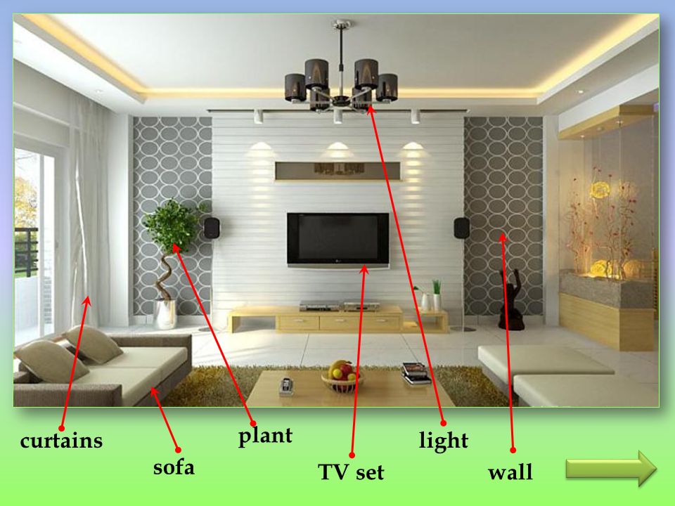 sofa TV set plant light wall curtains