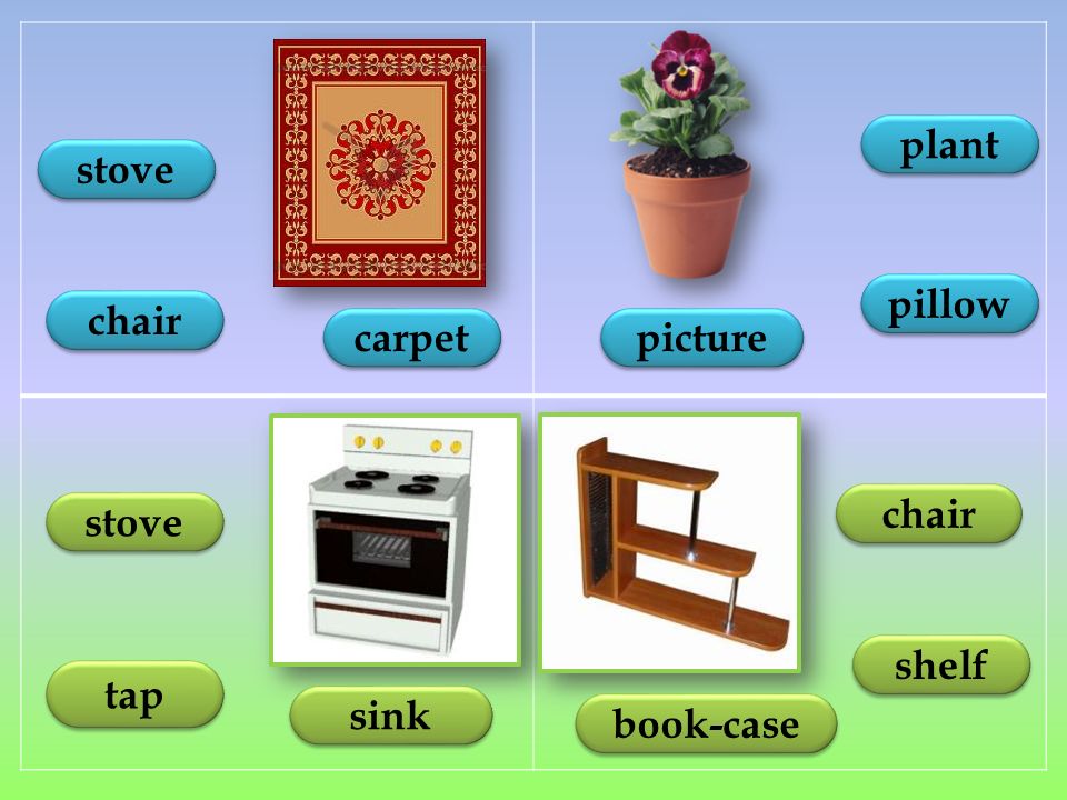 chair carpet stove picture pillow plant stove tap sink shelf book-case chair