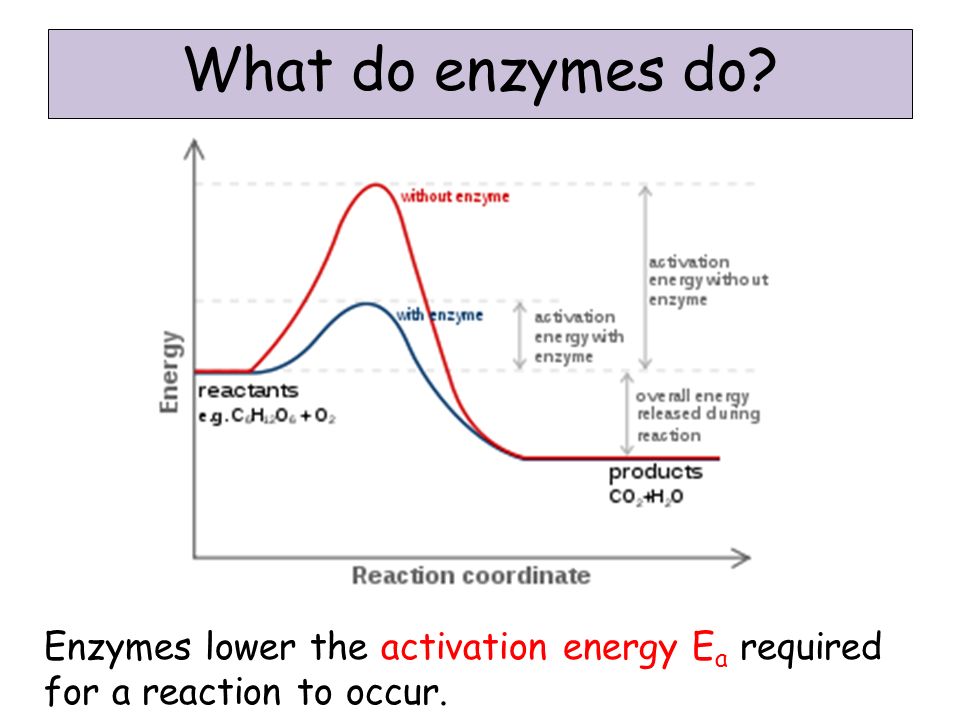 what is the energy of activation