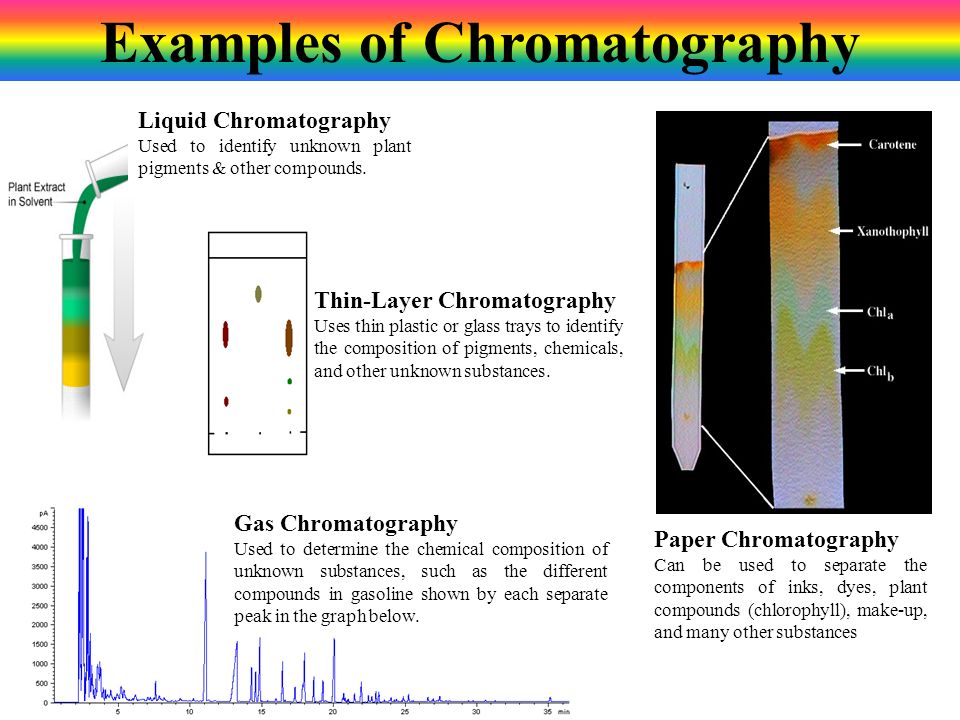 how does paper chromatography separate plant pigments how does paper chromatography separate plant pigments