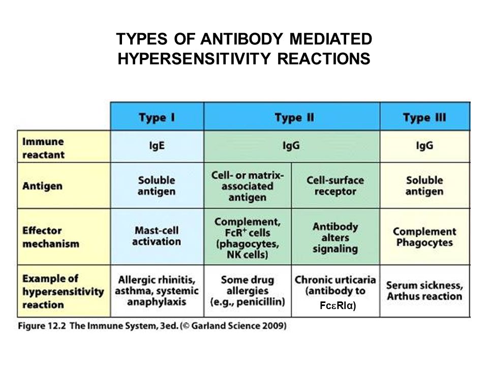 hypersensitivity reaction