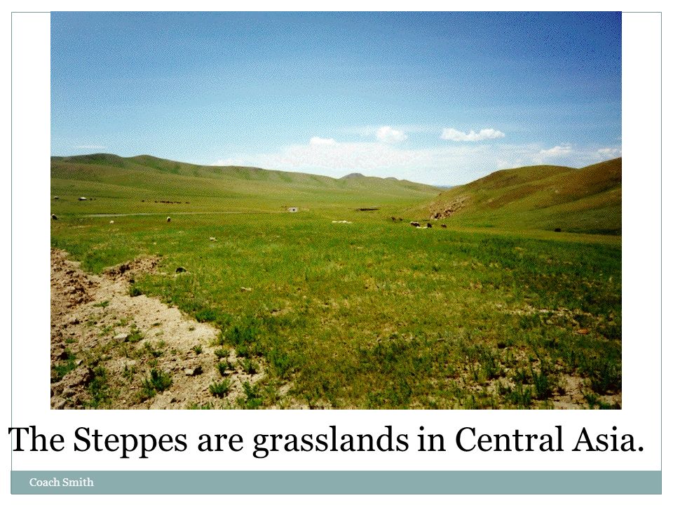 The Steppes are grasslands in Central Asia.
