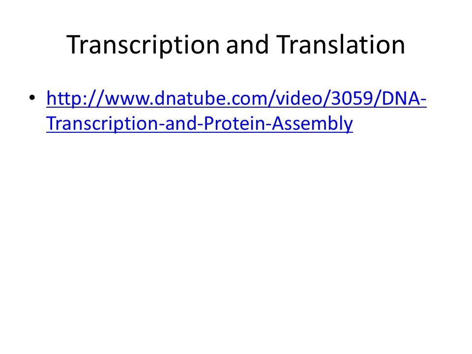 Protein synthesis video