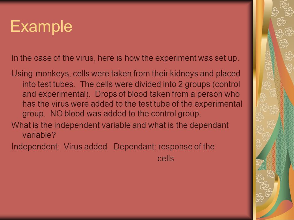 Example In the case of the virus, here is how the experiment was set up.