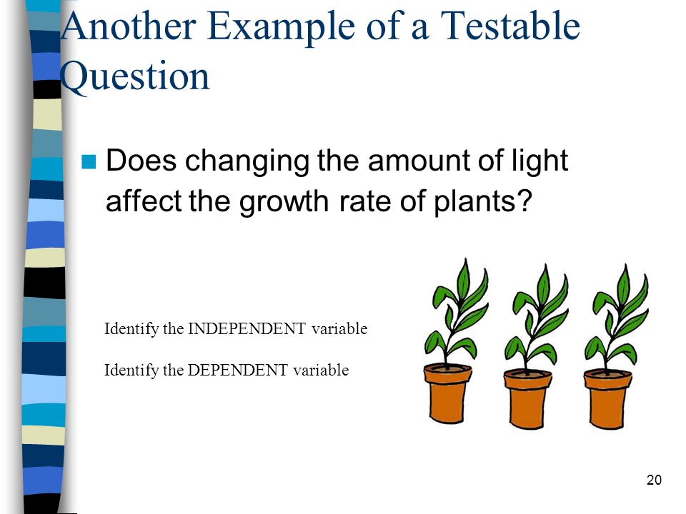 Another Example of a Testable Question Does changing the amount of light affect the growth rate of plants.