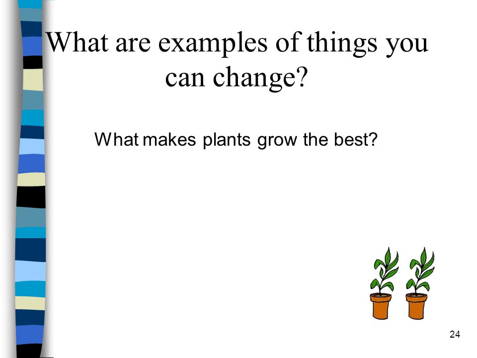 What makes plants grow the best What are examples of things you can change 24