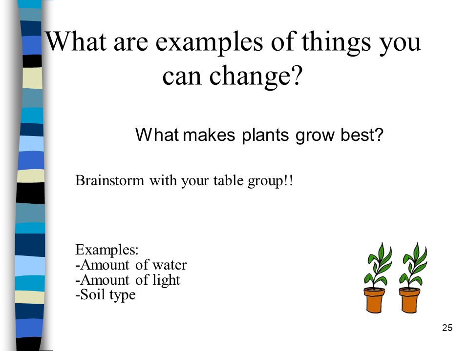 What makes plants grow best. What are examples of things you can change.
