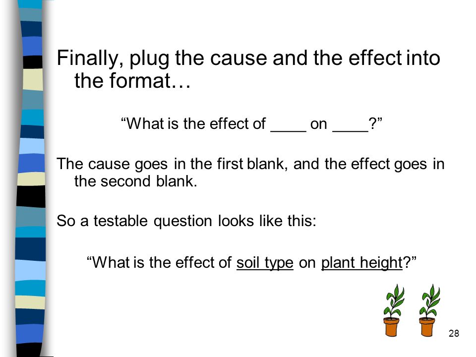 Finally, plug the cause and the effect into the format… What is the effect of ____ on ____ The cause goes in the first blank, and the effect goes in the second blank.