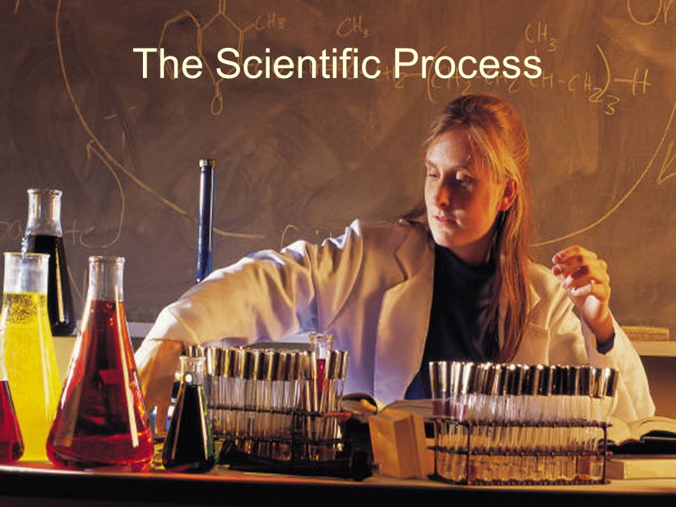 Scientific Processes The Scientific Process